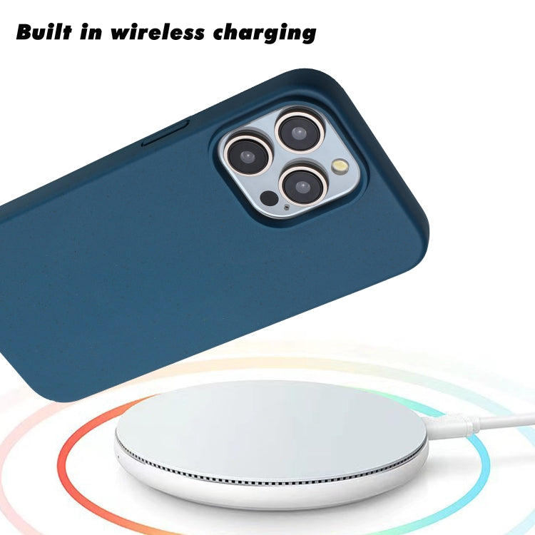 For iPhone 11 Pro Max Wheat MagSafe Magnetic Straw Material + TPU Phone Case(Blue) - iPhone 11 Pro Max Cases by buy2fix | Online Shopping UK | buy2fix