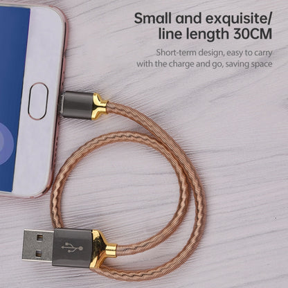 awei CL-26 0.3m 2.4A USB to USB-C / Type-C Metal Fast Charging Cable (Gold) - USB-C & Type-C Cable by awei | Online Shopping UK | buy2fix