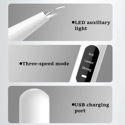 Ultrasonic Electric Dental Scaler Teeth Plaque Cleaner Dental Stone Removal With LED Light, Spec: Package B - Teeth Whitening by buy2fix | Online Shopping UK | buy2fix