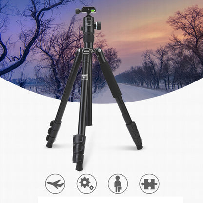 Fotopro F5 4-Section Quick Unlock Tripod Monopod with Ball Head (Black) - Camera Accessories by Fotopro | Online Shopping UK | buy2fix