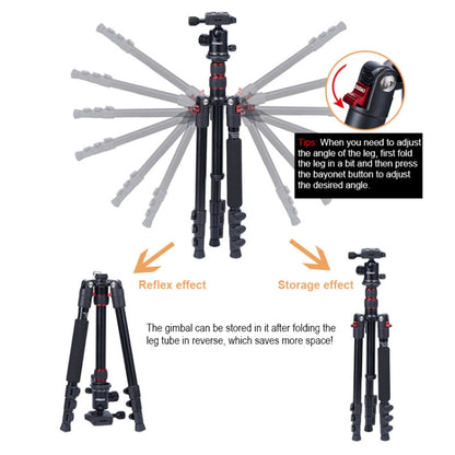 TRIOPO Oubao A-208S Adjustable Portable  Aluminum Alloy Tripod with Ball Head for SLR Camera - Camera Accessories by TRIOPO | Online Shopping UK | buy2fix