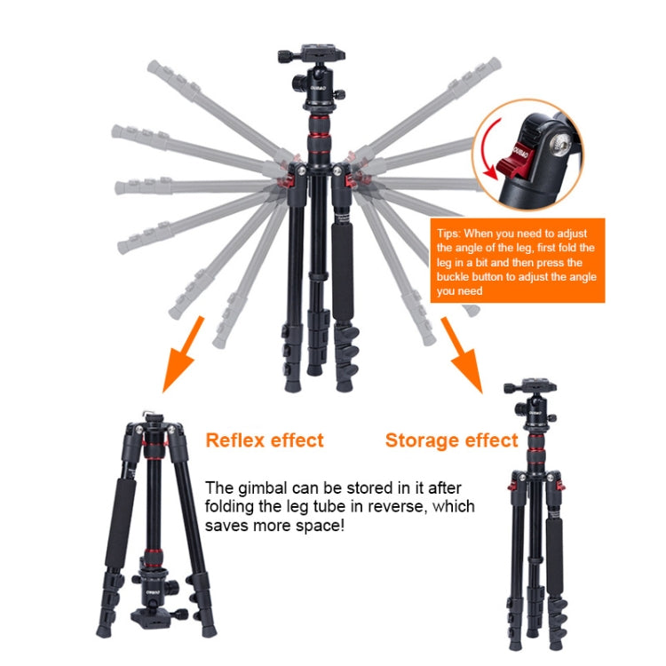 TRIOPO K2508S+B1S Adjustable Portable  Aluminum Alloy Tripod with Ball Head for SLR Camera(Red) - Tripods by TRIOPO | Online Shopping UK | buy2fix