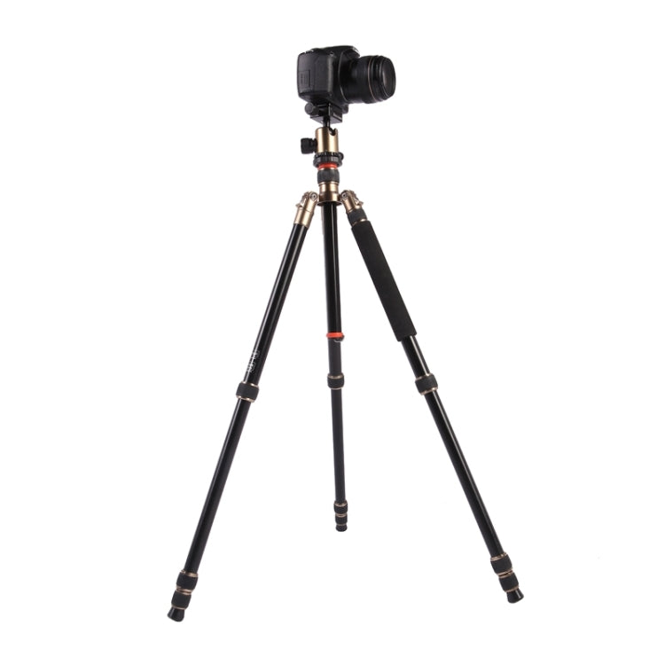 Triopo MT-2504C Adjustable Portable Aluminum Tripod with NB-1S Ball Head for Canon Nikon Sony DSLR Camera(Black) - Camera Accessories by TRIOPO | Online Shopping UK | buy2fix