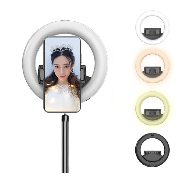 CYKE Q6 Selfie Live Broadcast Ring Beautifying Light(Fill Light) - Consumer Electronics by CYKE | Online Shopping UK | buy2fix