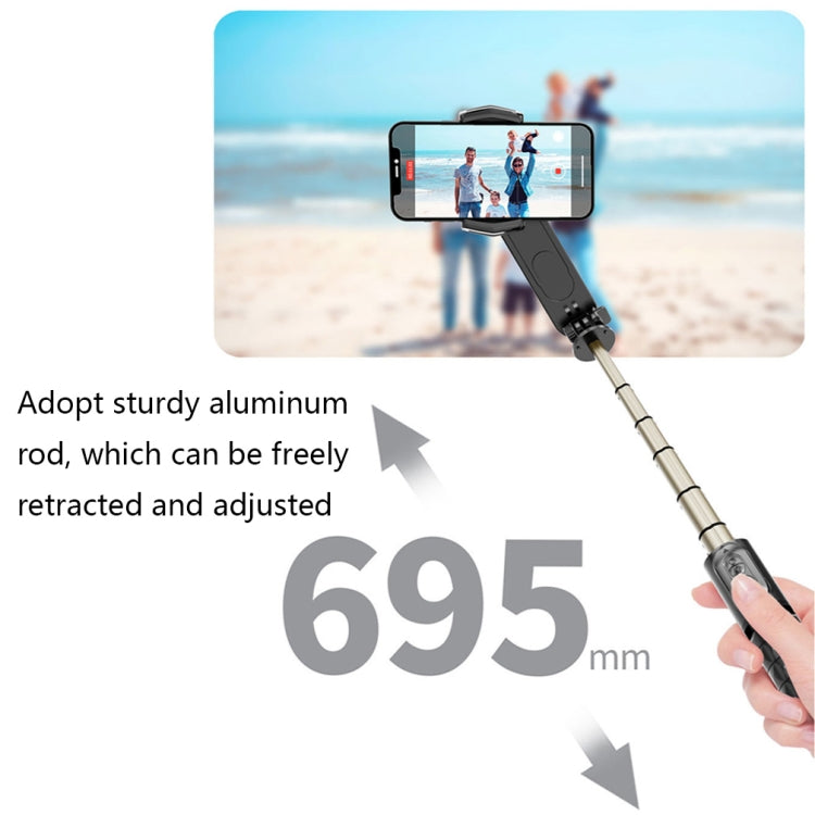Removable Fill Light Phone Handheld Stabilizer with APP(Q09 Black) - Consumer Electronics by buy2fix | Online Shopping UK | buy2fix