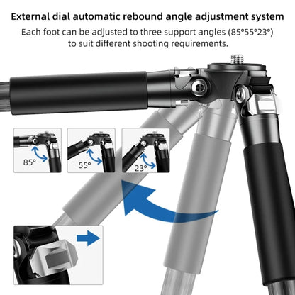 BEXIN RC254 Carbon Fiber Portable Folding Tripod SLR Camera Low Gravity Center Gimbal Photography Bracket - Tripods by BEXIN | Online Shopping UK | buy2fix